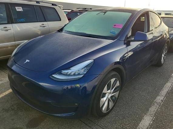 TESLA MODEL Y 2022 7SAYGDEE2NF330146 image